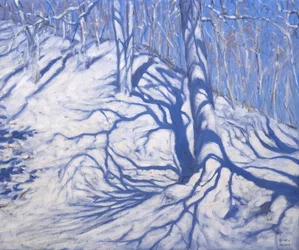 Winterwald, nahe Courcheval, 2008